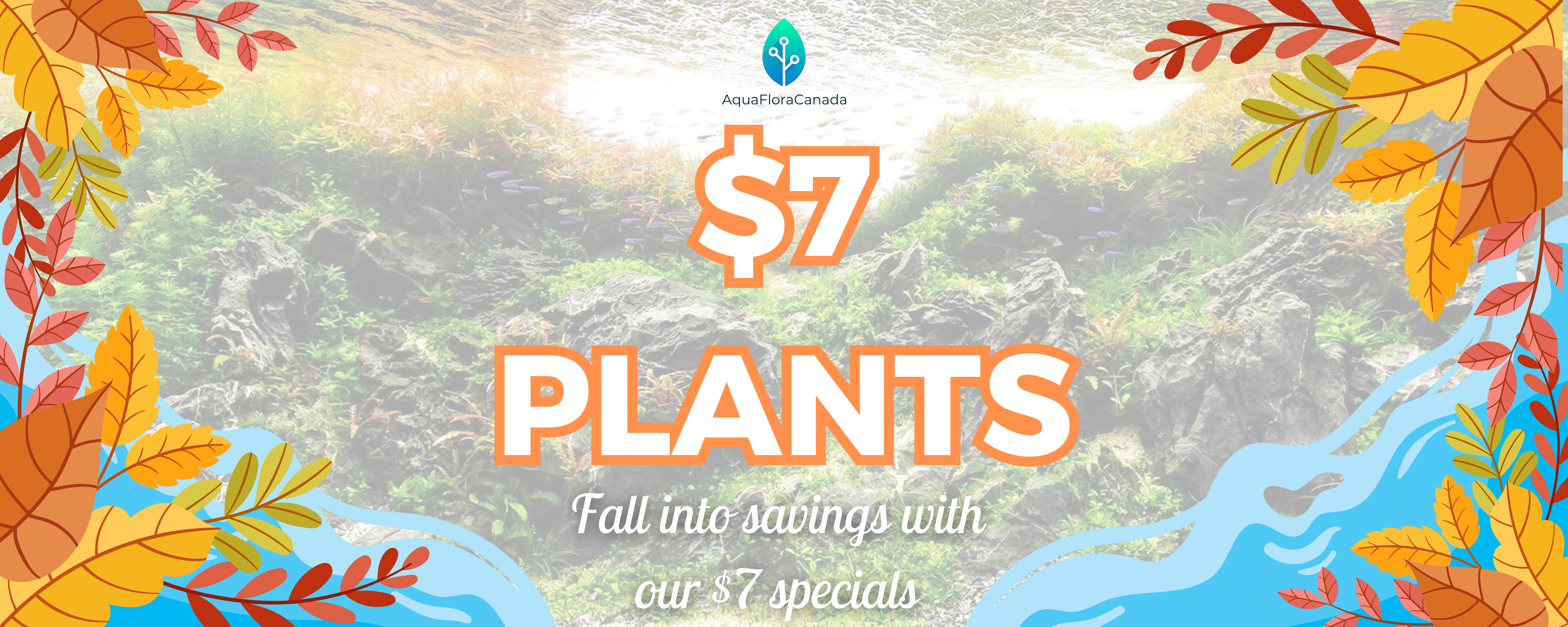 AquaFloraCanada